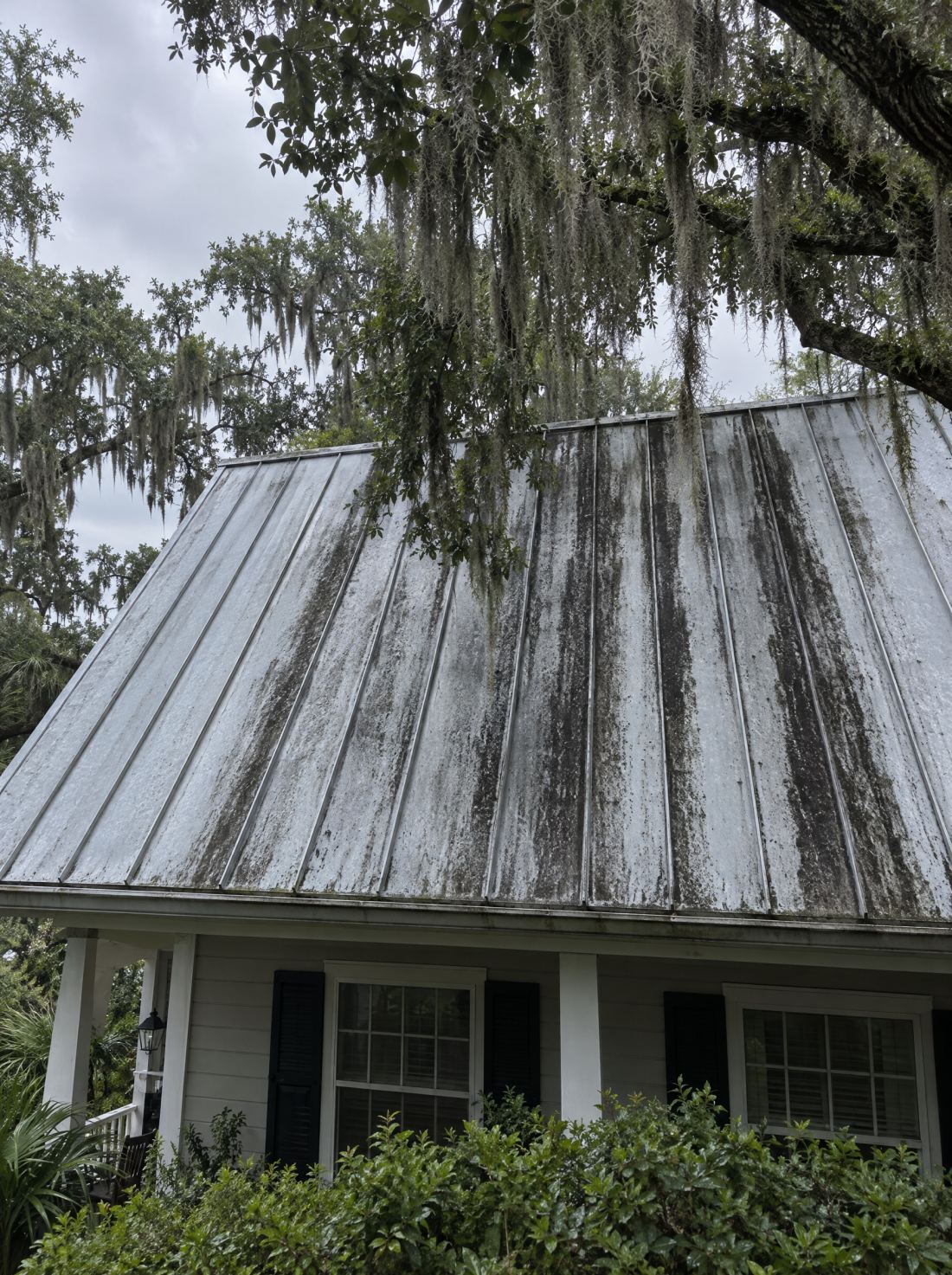 Black mildew streaks on a metal roof